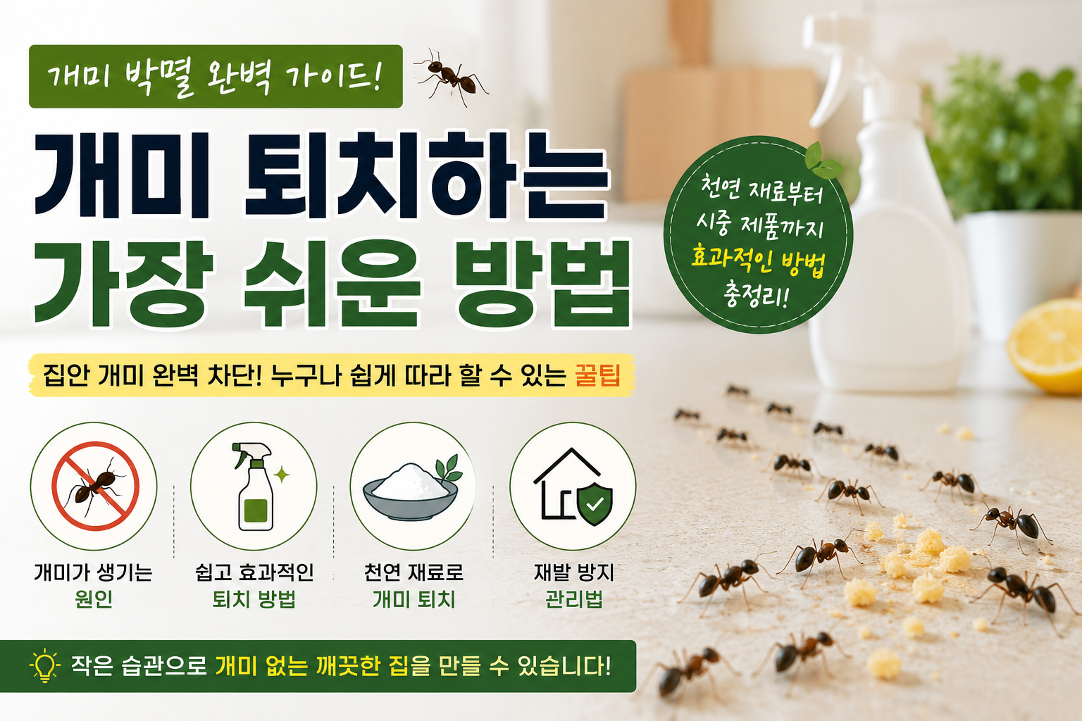개미 퇴치하는 가장 쉬운 방법